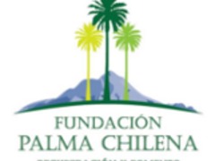 Fundacin Palma Chilena